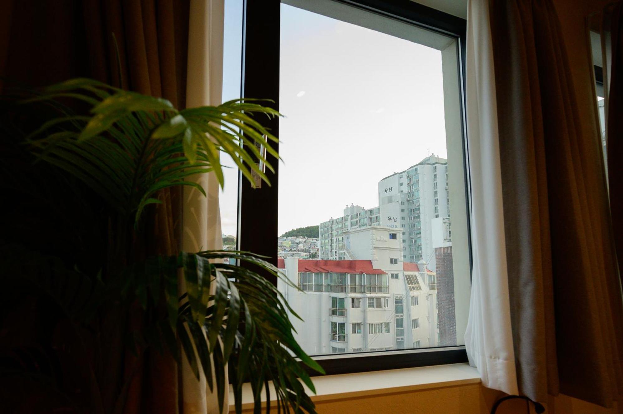 Catnap Guesthouse Пусан Экстерьер фото
